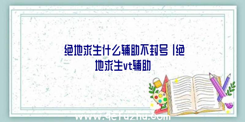 「绝地求生什么辅助不封号」|绝地求生vt辅助